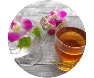 ウェルカムドリンク